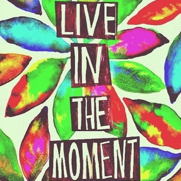 Meet your Posher, Quinn - Picture 1 of 1